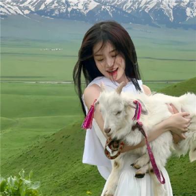 毛骨悚然撞鬼经2011夏季特别篇